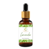 Coriander Essential Oil