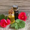Geranium Essential Oil