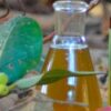 Banyan Extract