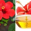 Java Extract