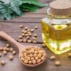 Soya Oil