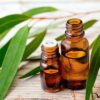 Eucalyptus Essential Oil