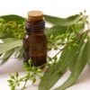 Jasmine Essential Oil