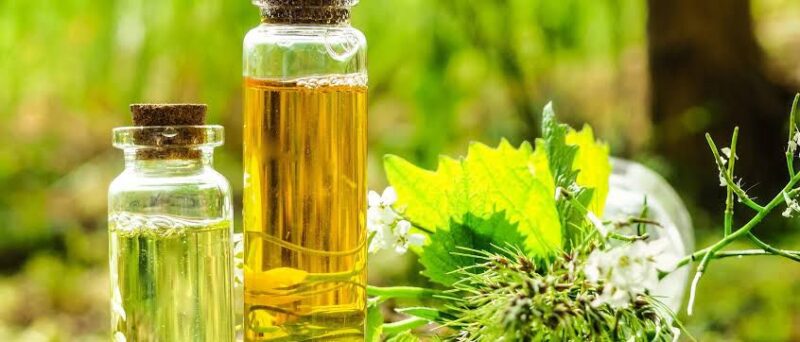 Nishindha Extract